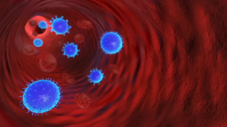 Bloodborne Pathogen Transmission: How Infections spread and prevention measures